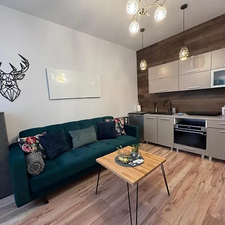 W Centrum Jeleniej Gory Przy Ulicy Dlugiej 아파트 옐레니아구라