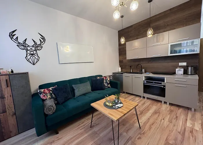 W Centrum Jeleniej Gory Przy Ulicy Dlugiej Apartment Jelenia Góra